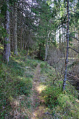 Pfad zum Vargefjället