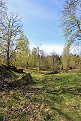 Vargefjället