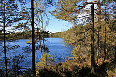 Långevattnet