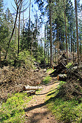 Bredfjället naturreservat