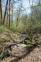 Bredfjället naturreservat