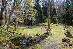 Flågfjället