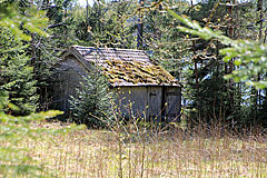 Alte Scheune