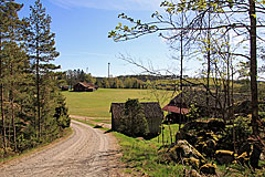Lilla Måröd
