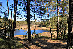 Dammsjön