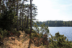 Brurevatten