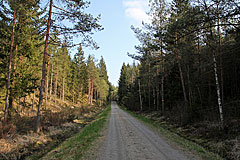 Waldstrasse