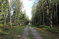 Fahrweg am Stora Hästevatten
