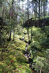 Bachlauf