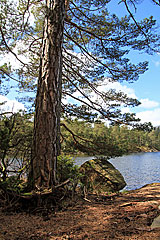 Stora Holmevatten