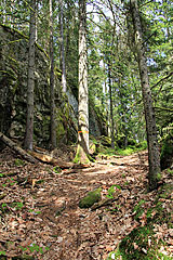 Felsen