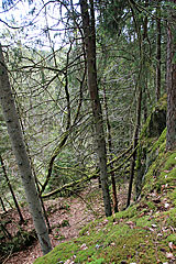 Felsen