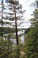 Härsvatten