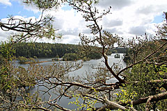 Härsvatten
