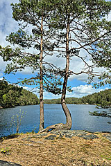 Härsvatten