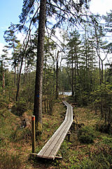 Brettersteg am Stora Iglekär