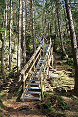 Treppe Utsikt Ålevatten