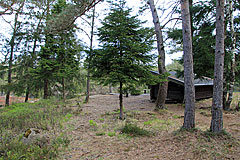Vindskydd Holmevatten