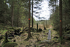 Röremaden