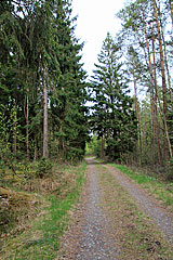 Bei Bredmossen
