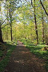 Mariebergs naturreservat