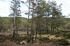 Svartvattnet
