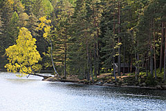 Vindskydd Gäddevattnet Väst