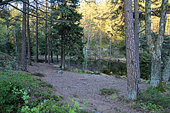 Gäddevatten