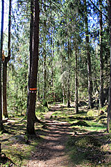 Abstieg nach Gunnilse