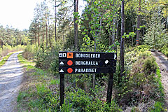 Surketjärnsvägen 