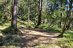 Zeltplatz am Stora Ramsjön