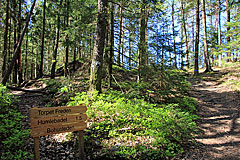 Weggabelung