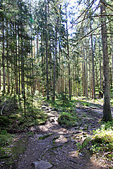 Abstieg zum Aspen