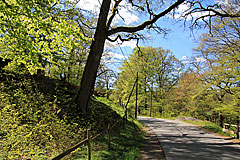 Flaggstångsberget