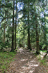 Korpåsberget