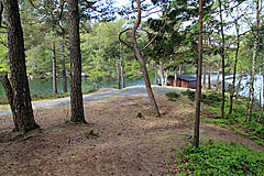 Vindskydd Norra Långevattnet