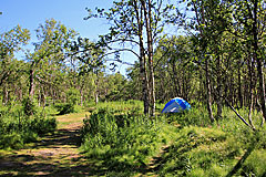 Tältplats Nissonjohka