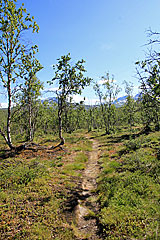 Pfad zum Tältlägret