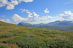 Wiesen hoch über dem Alisvággi