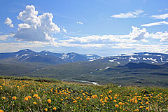 Blick Richtung Vierrovággi