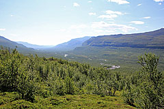 Ich erreiche den Fjällbirkenwald