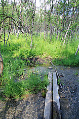 Bach vom Vássaloamijávri