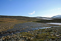 Bach auf der Čievrraláhku