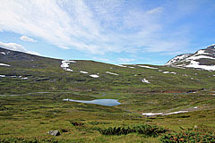 See im Neasketvággi