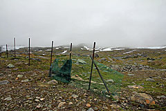 Rentierzaun am Gearbilčohkka