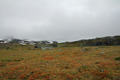 Am Gearbilčohkka (Kärpel)