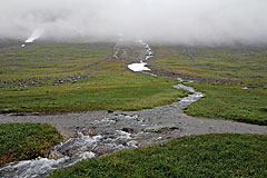 Kungsleden