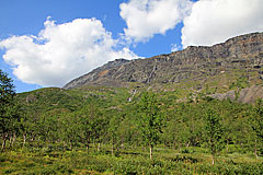 Vássačorru
