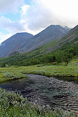Boginjira