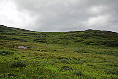 Abstieg ins Alisvággi